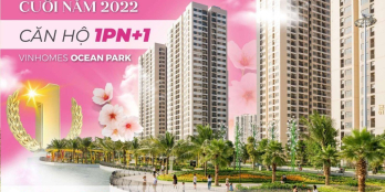 Nhận nhà ở ngay căn hộ cao cấp ở Hà Nội chỉ với 500 triệu