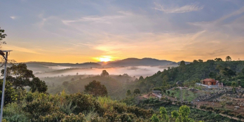 Chỉ 2,490 tỷ có ngay cái view tuyệt đỉnh gồm 1.200m2 đất,nhà gỗ,khuôn viên vườn