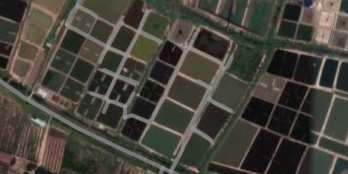 200 triệu / 1000 m2 đất tôm gần phà Bến Chùa đầy đủ trang thiết bị