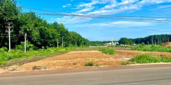 BÁN ĐẤT SÁT CHỢ 5.000M2 ĐẤT ĐƯỜNG TỈNH, ĐIỆN 3 FA TRƯỚC ĐẤT GIAS 1 TỶ 600TR