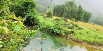 có siêu phẩm   Diện tích 7500m có 350ont còn lại CLN tại Khan Hò MC