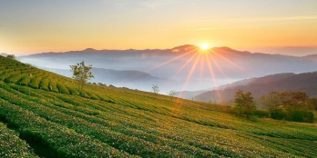 Đất Bảo Lộc gần biệt thự Kiwuki chỉ 900 triệu 170m2 full thổ sổ hồng riêng.