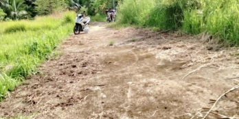 Đất nền giảm giá thị trấn châu thành bến tre