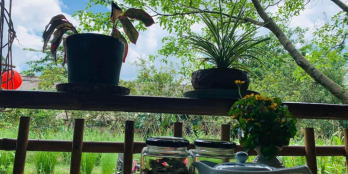 250 triêu/ 1000m2 đất trang trại Tôm mặt tiền tỉnh lộ huyện Phú Đông Tiền Giang