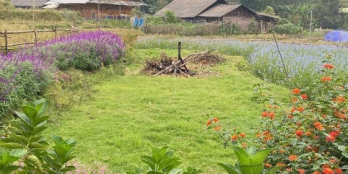 Đất nền sapa-sẵn thổ cư,vị trí đẹp,giá đầu tư vài triệu m2