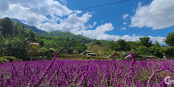 Đất nền sapa-sẵn thổ cư,view đẹp,đón sóng QH
