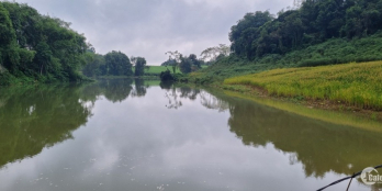 Cần bán gấp giá gốc lô 2000m2 xóm Giác, Phú Vinh view hồ cực đẹp 2000m2 xóm giác