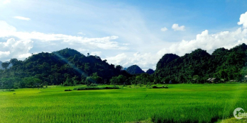 Cần bán gấp giá cứu cọc lô 2000m2 xóm Giác, Phú Vinh view hồ cực đẹp