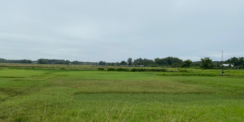 Sót lại lô đất 505m2, SHR MT Nhuận Đức, giá 800 triệu