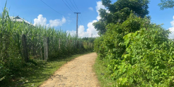 gấp đất đẹp giá rẻ Cao Phong Cơ hội sở hữu bds liền kề dự án tại Cao Phong