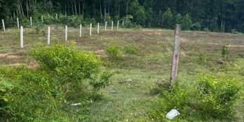 MUA ĐẤT KÈM QUÀ TẶNG CHO KHÁCH