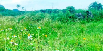 BÁN NHANH Khu công nghiệp tương lai Mảnh đất gần tại xã Mỹ Hoà