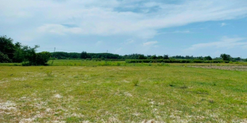 Bán nhanh lô xã Hồng Thái 3981m2 giá 716 triệu