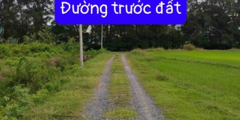 Bán nhanh đất Thái Mỹ, giá 900 triệu. SHR 590m2