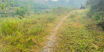 Cần bán gấp lô đất rừng giá rẻ bám suối thác tại Lương Sơn - Hòa Bình