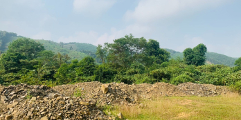 Chính chủ bán lô đất rừng có suối chảy quanh năm chỉ có tại Lương Sơn - Hòa Bình