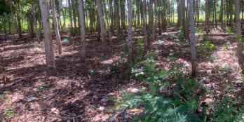 Bán  506m2 giá 3,8ty MT 16m sổ đỏ sẵn sang tên công chứng ngay Lh 0917678685