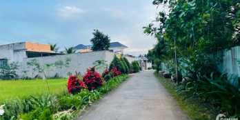 Cần bán 250m2 đất thổ cư DT 8**31,2 . Giá đầu tư 1tỷ500tr