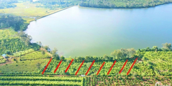 Bán gấp 1000m2 nghỉ dưỡng ngay đập phước hòa giá chỉ 390tr lô