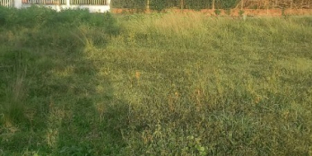 Bán lô đất 122m2 xã phước bình long thành đồng nai sổ riêng gần kcn phước Bình 1