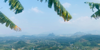 Bán đất rừng sản xuất dt thực gần 5000m2 chỉ 4xx triệu tại Bắc Phong, Cao Phong