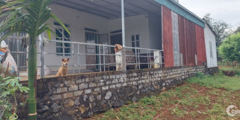 Cho ra mắt lô đất 1883m2 có hẳn 800m thổ cư tại Cao Phong Lô đất phù hợp cho gi