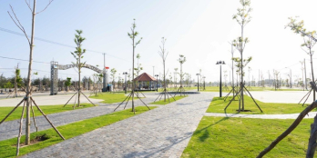 Đất nền Ngọc Dương - Tropical Palm chính chủ đang ngộp cần thanh lý gấp