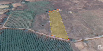 Chỉ 600tr sở hữu ngay lô đất vườn Hồng Liêm tiềm năng lên thổ cư. Nằm ngay dân