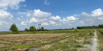 Đất vườn Củ Chi giá 1.7 tỷ, DT 2250m2 tại Trung Lập Thượng