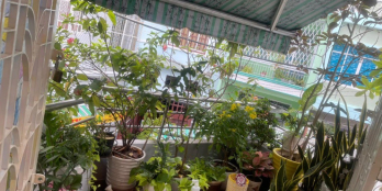 BÁN GẤP NHÀ HXH 4 CHỖ ĐỂ TRONG NHÀ, CHỦ TẶNG TOÀN BỘ NỘI THẤT.GIÁ CHỈ 11 TỶ 3