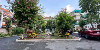 Biệt Thự Siêu đẹp lung linh ở phổ Quang tân bình giá tốt