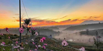 5.9 tr/m2 đất sổ đỏ 200m2 có thổ 100m2 ngay Ủy ban Xã ngay Quốc lộ 20 Bảo Lộc