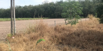 Đất mặt tiền đường DT784 cách trường dạy lái xe Thành Đạt 700m