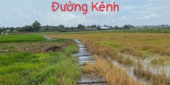 Đất vườn Phước Thạnh 1241m2 chỉ 1.65 tỷ. Đất ngộp giá rẻ