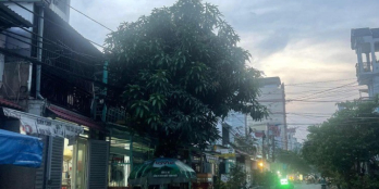 DUY NHẤT 1 căn Mặt tiền đường số Quận 7, Ngang 4m- 3 Tầng- NHỈNH 7 Tỷ.