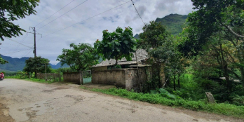 thua bóng woldcup , cắt lỗ bán mảnh đất đối diện uỷ ban xã đông hà - quản bạ