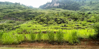 cần tiền đáo hạn ngân hàng , cắt lỗ bán mảnh mặt đường QL4C - quản bạ - hà giang