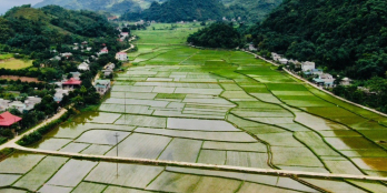 Chính chủ cần bán nhanh lô đất 600m2 Phú Cường chỉ hơn 500 củ khoai Có ngay