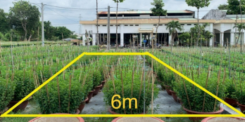 Bán miếng đất trung tâm TP. Bà Rịa giá cực rẻ