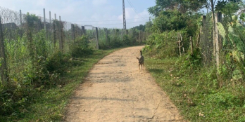 Cần bán nhanh mảnh đất tại Tân Phong, Cao Phong 4000m Diện tích 4000m2 trong đó