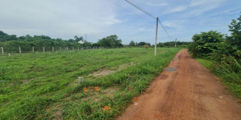 Đất nền Bàu Đồn thổ cư 100% thích hợp đầu tư, xây ở