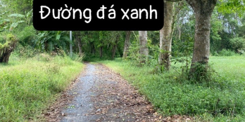 Bán TC tại Phú Hoà Đông. SHR 513m2, giá 2,2 tỷ