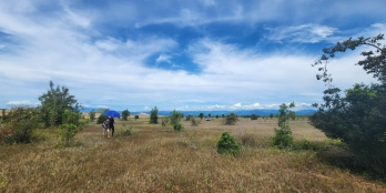 Xã lỗ lô 6,472m2 Sông Lũy, sổ sẵn. TRẢ GÓP 12 THÁNG.