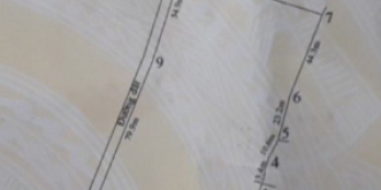 Đất vườn giá chạm đáy - vị trí đẹp cần tìm nhà đầu tư thông thái