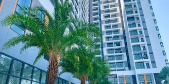 100 CĂN HỘ RICCA Q.9, BÁN: 1,75 tỷ, CHO THUÊ 6 triệu/tháng CÓ SỔ, NHÀ MỚI