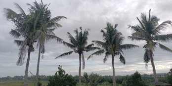 Resort 4 sao tại thành phố Hội An cần chuyển nhượng