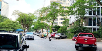 Duy Tân, Cầu Giấy. 48m2 x 5T, MT 4m. Ngõ to ô tô tránh. Vị trí đẹp. Giá 12.8 tỷ.