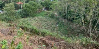 Cần bán gấp đất Lâm Sơn,Lương Sơn,HB 2900m2 bám SUỐI - sân golf Phượng Hoàng