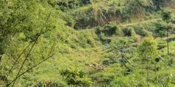 Bán đất nhà vườn nghỉ dưỡng Lương Sơn Hoà Bình 3300m2 giá chỉ nhình 2 tỷ