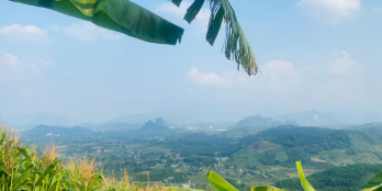 đất rừng sản xuất dt thực gần 5000m2 chỉ 4xx triệu tại Bắc Phong, Cao Phong